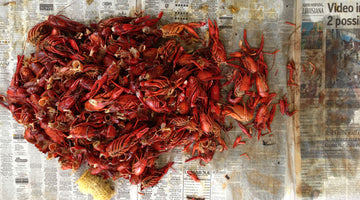 Bayou Bourré: When Crawfish Cravings Come to a Boiling Point